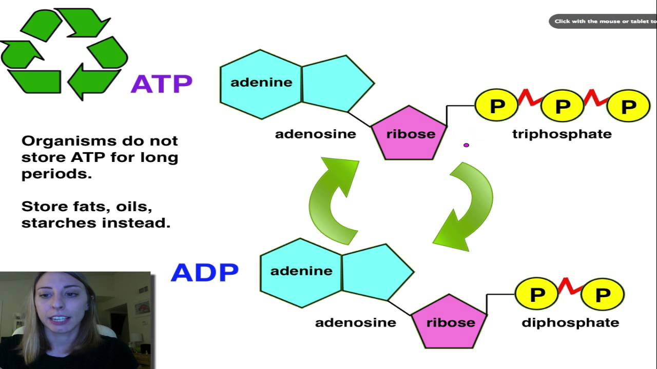 how to get atp rating